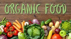 16 Good Ways to Start a Business Selling Organic Food in 2023