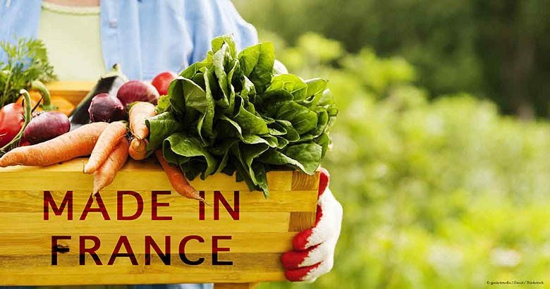 The Rise of Organic Farming in France: A Sustainable Revolution