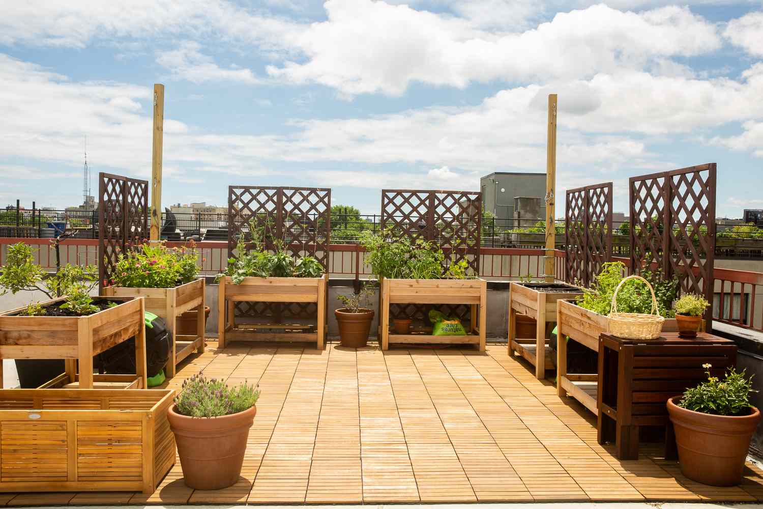 The Urban Oasis: Transforming Your Rooftop into a Garden Paradise