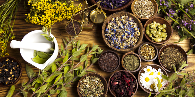 Herbal Alchemy: Unlocking the Health and Culinary Potentials of Unique and Uncommon Herbs