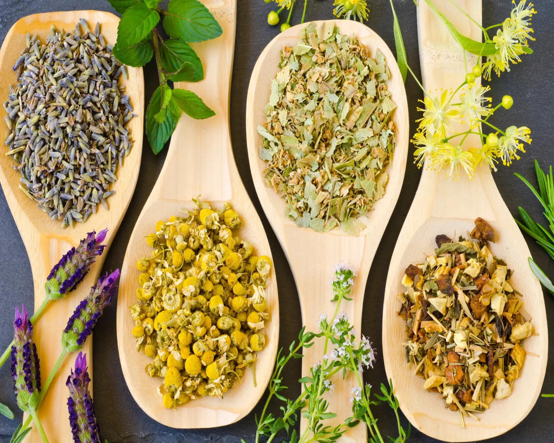 Herbs for Stress Relief: Nature’s Remedy for Modern Life Challenges